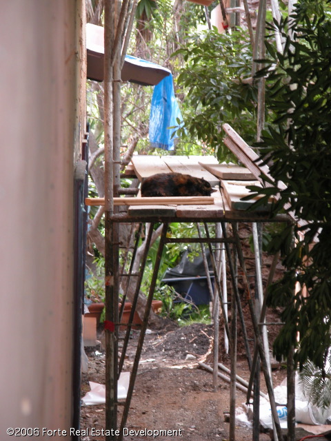 dscn0053.jpg