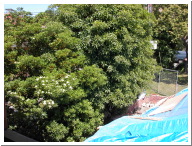 DSCN0017.JPG