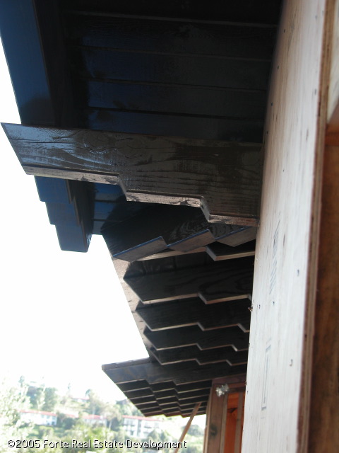 dscn0009_85.jpg
