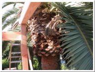DSCN0006.JPG