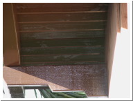 DSCN0007.JPG